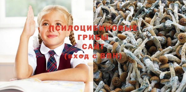 стафф Белоозёрский