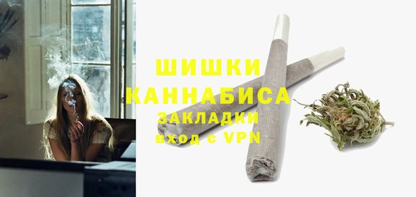 хмурый Белокуриха