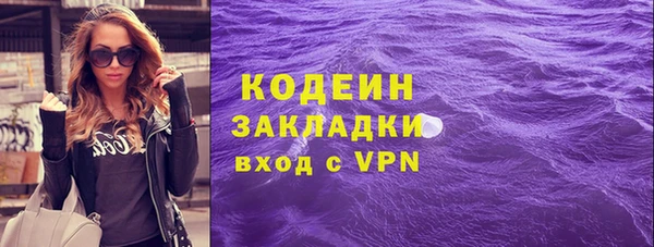 хмурый Белокуриха
