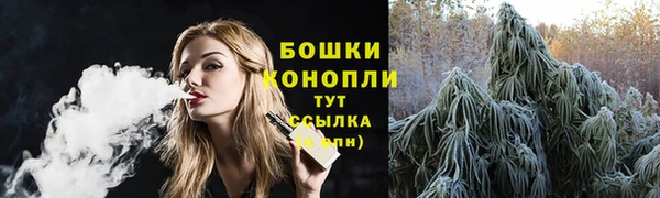 хмурый Белокуриха