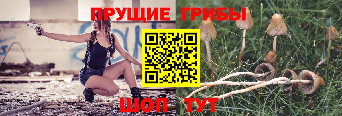 Галлюциногенные грибы мицелий Малоярославец